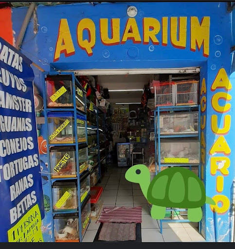Acuario Aquarium Logo