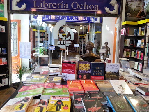 Librería Ochoa - Visual