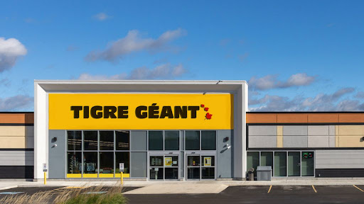 Tigre Géant - Visual