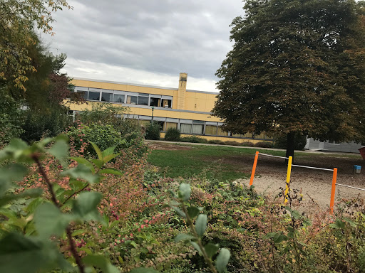 Tannenbergschule - Visual