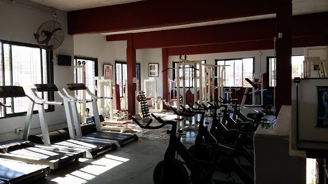 Gimnasio Sarmiento, Author: Moreno Roncoroni