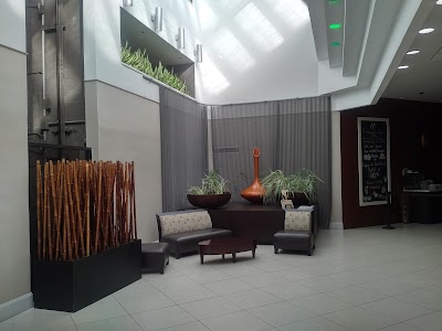 Photos of Holiday Inn St Petersburg N - Clearwater