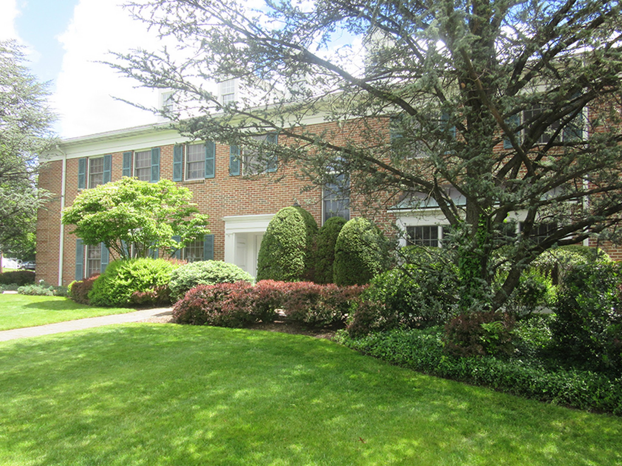 Westfield Smiles - Dental Clinic Photo