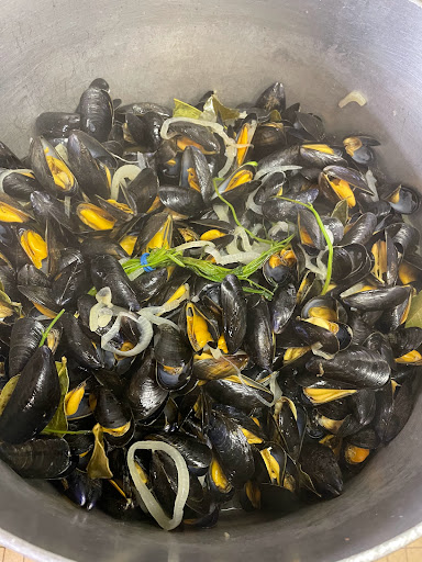 Photo 5 - Chez la sardine