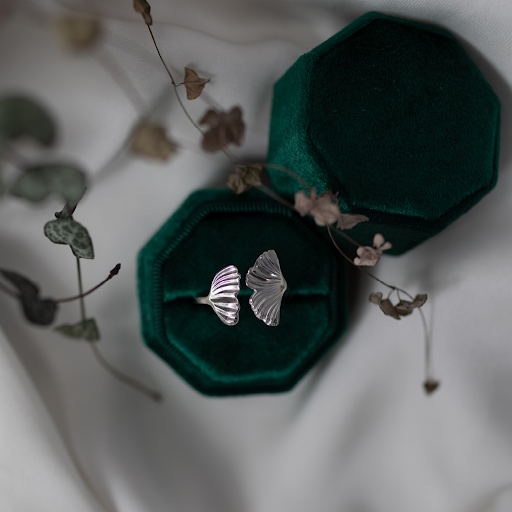 Metamorphic Charm - Visual