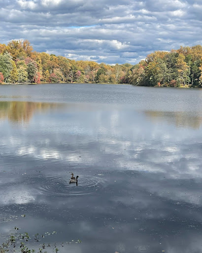 Buddy Attick Lake Park South Entrance - Thumbnail