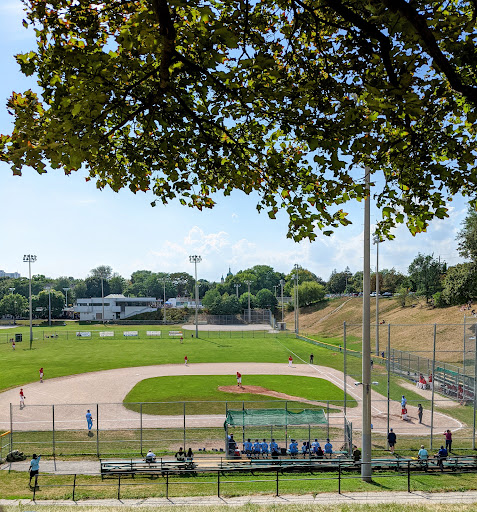 Dominico Field