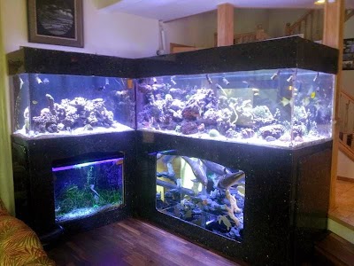 Crystal Clear Aquariums