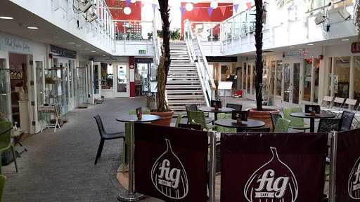 Fig Cafe - Visual
