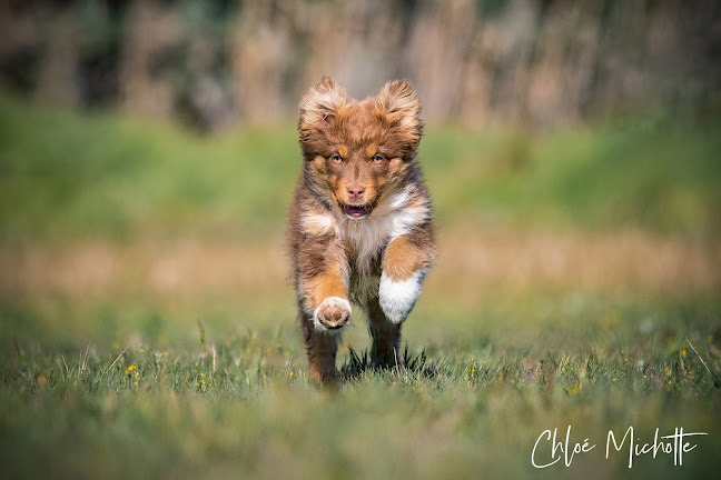 https://www.chloemichottephotographie.com/