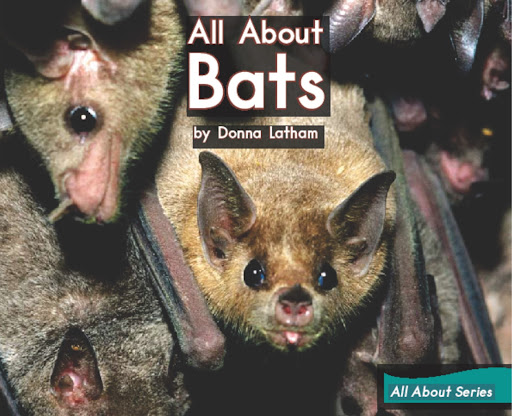 ABCBOOK.NET - Visual