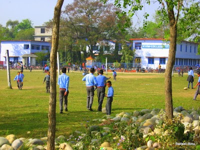 school