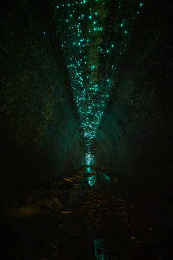 Metropolitan Tunnel (Northern Entrance) - Thumbnail