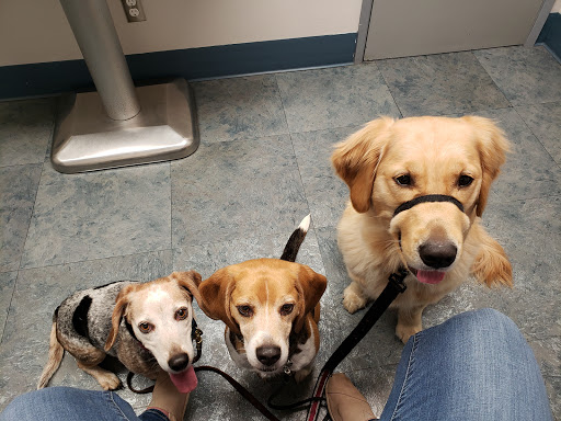 Chehalis Centralia Veterinary Hospital - Thumbnail