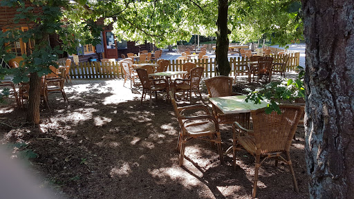 site_photo2