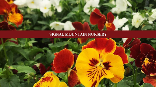 Signal Mountain Nursery - Thumbnail