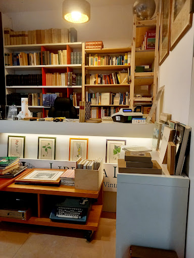 Libreria Lilli - Visual