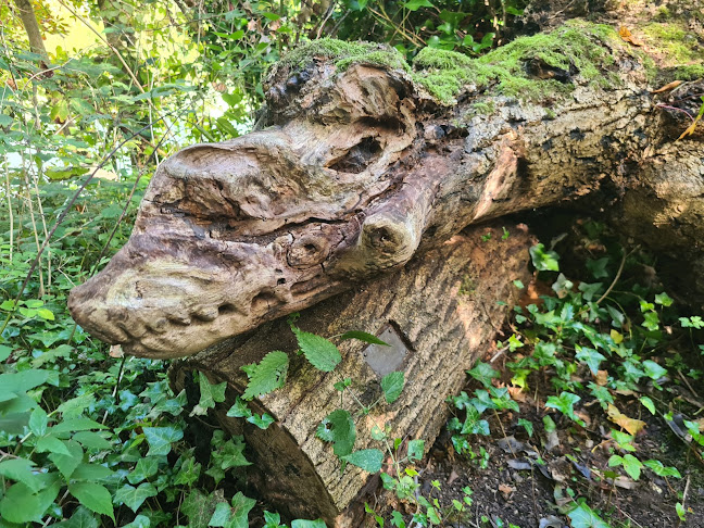 https://www.birminghammuseums.org.uk/sarehole
