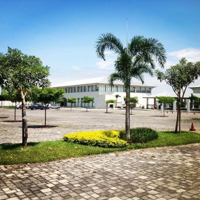 Photos of Vivero Plantilandia