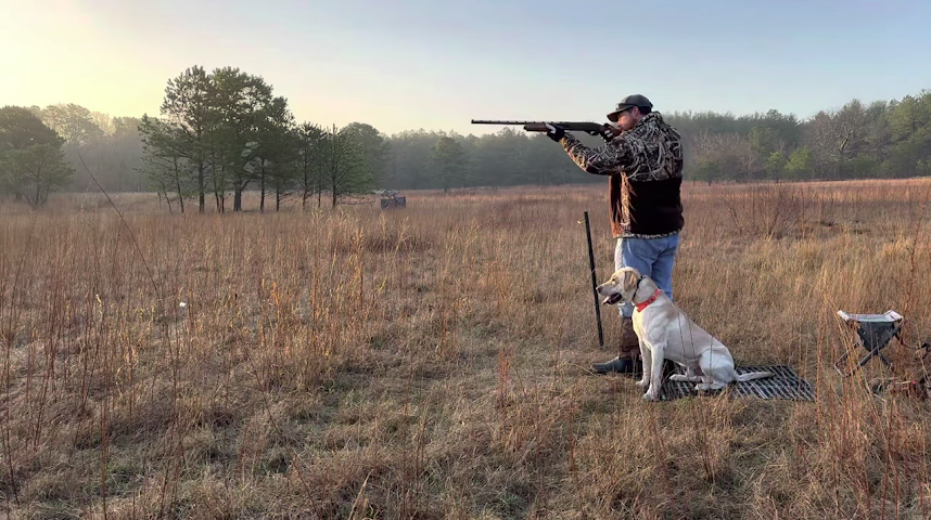 Tooker Kennels by null