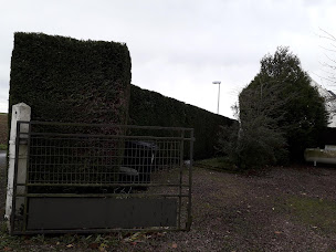 Photo n°13 de Presta Jardins à Saint-Sylvain (Service d'entretien de pelouse)