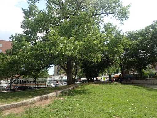 Reverend Lena Irons Unity Park - Thumbnail