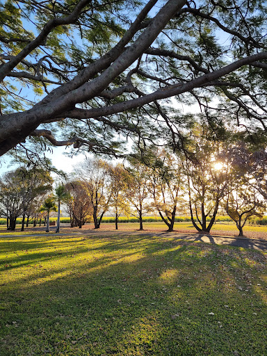 Murwillumbah Seventh-day Adventist Church Gallery - Australia