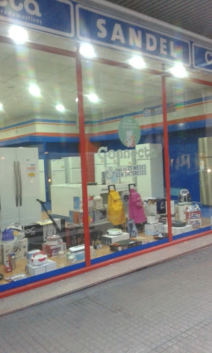 Electrónica Sandel