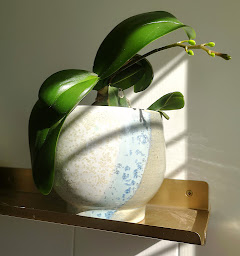 Photo n°36 de La Montagne Sud à Allemans (Centre de formation)