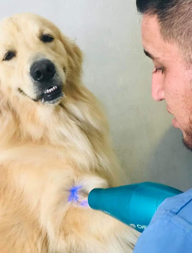 Hospital Veterinario Madero