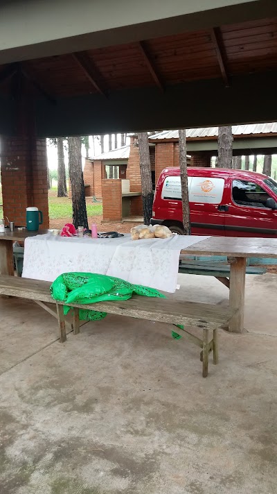 Photos of Todo Limpio