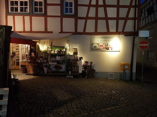 Löwenzahn Ideen
