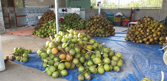 VỰA DỪA MINH PHÁT, Đường Số 30, Tân Hương, Châu Thành, Tiền Giang