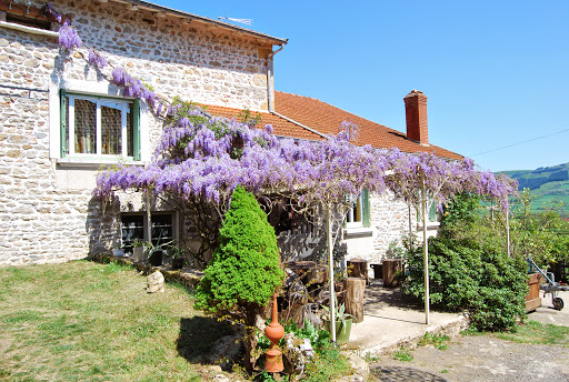 Photo 5 - Le Commerce