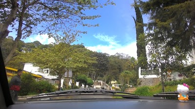 Photos of Pinus kampoeng Sarangan