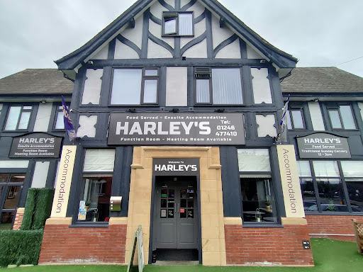 Harleys - Visual