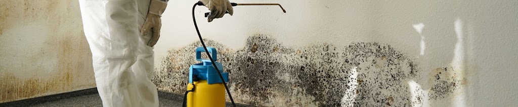Mold Remediation Fort Lauderdale photo