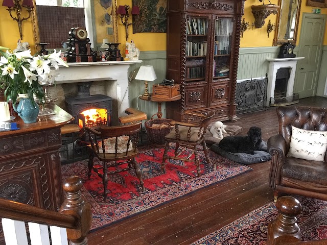 The Study