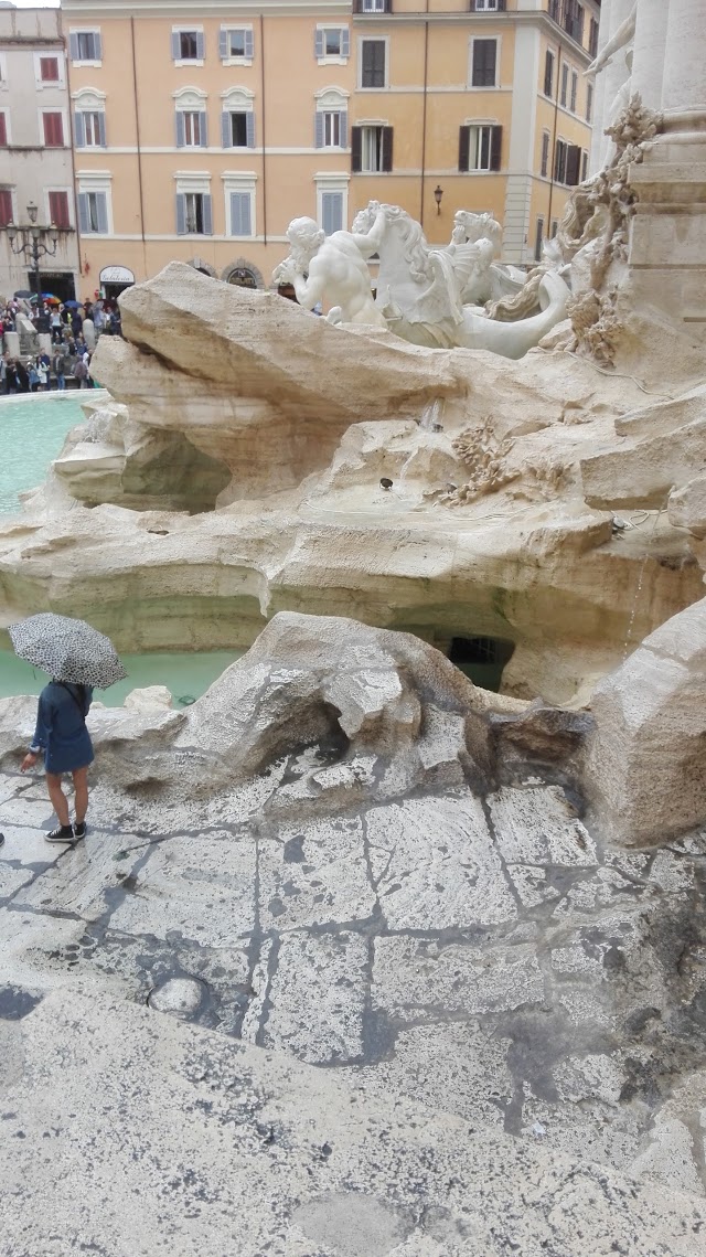 Gelato In Trevi Sas Di Podo Renato