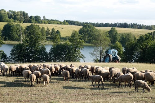 Mucenieki Viesu Nams