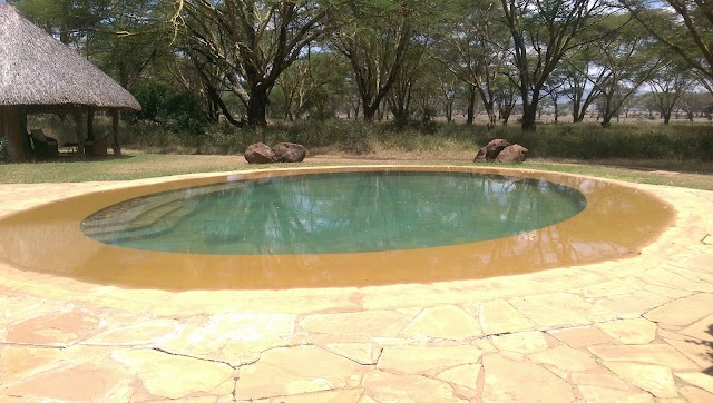 Lewa Wildlife Conservancy