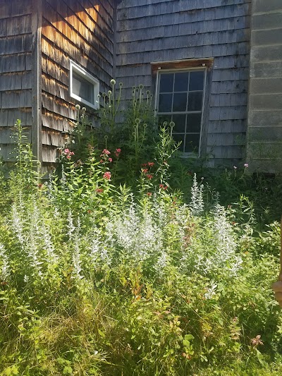 Beaversprite Sanctuary