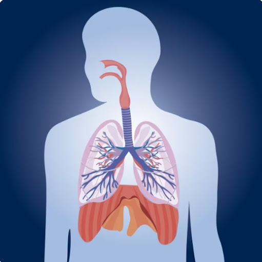 Symptoms of silicosis can include persistent cough, shortness of breath, and fatigue. Early diagn…