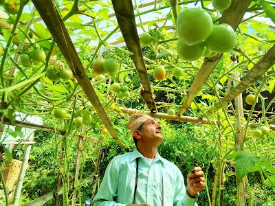 Photos of Khimlal-Rama Agro Farm