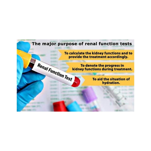 Renal Function Test post image