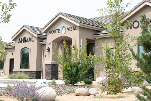 Monte Vista Animal Hospital - Thumbnail