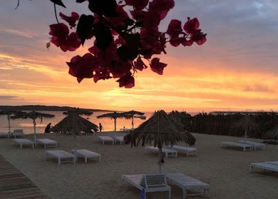 Photos of Alisios