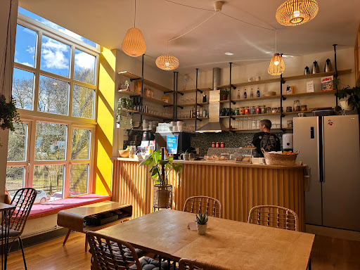 Cafe Root - Visual