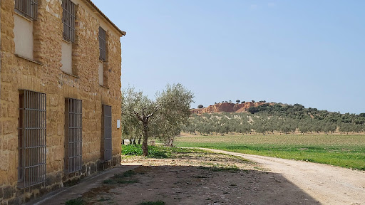 La Romera Casa Rural y Observatorio Ornitologico