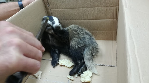 Ambulatorio Veterinario Dott.Rinaldi